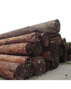 Sandalwood dressed lumber/veneer for sale